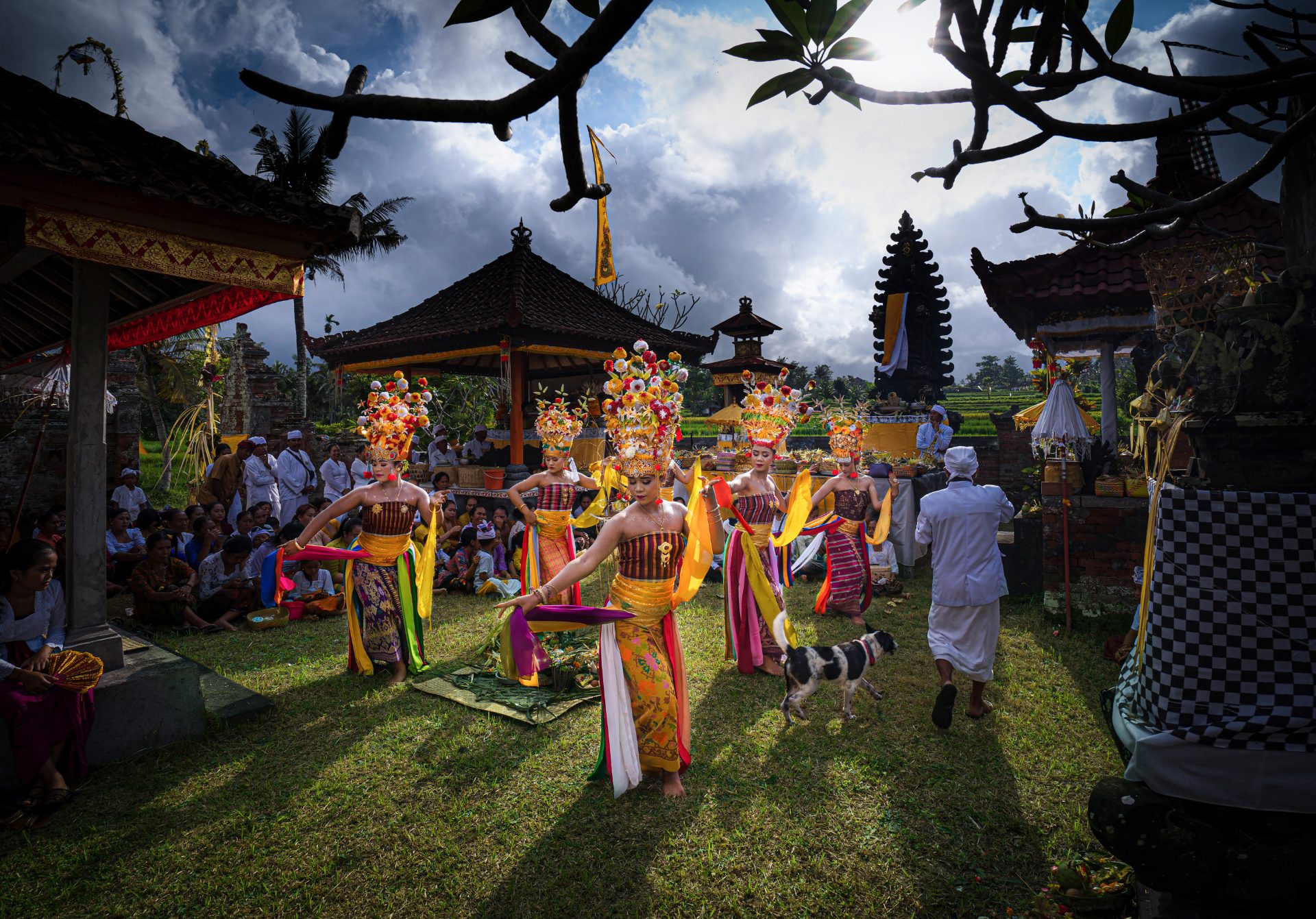 Balinese dancers